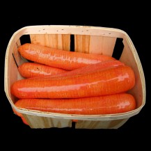 4 carottes